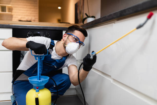 Best Mosquito Control Services  in Marin City, CA