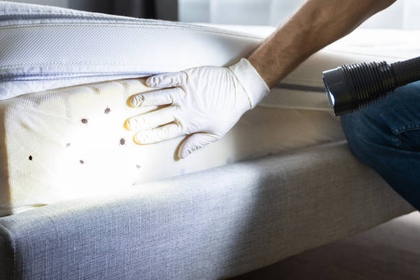  Marin City, CA Pest Control Pros