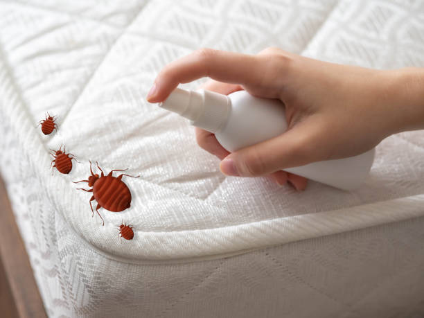 Best Local Pest Control Services  in Marin City, CA