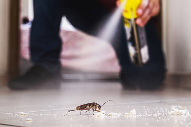 Best Pest Removal Services  in Marin City, CA
